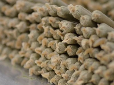 Fresh, Flavorful & Strong – THC Infused Cannabis Pre-Rolls Europe