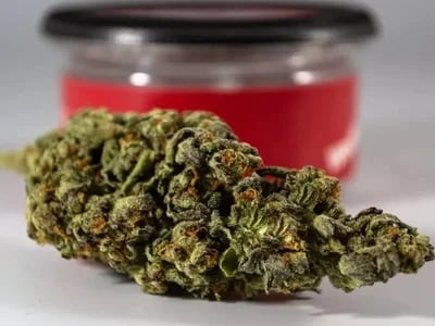 THC Edibles for Sale Australia – Understanding the Market and Consumer Habits