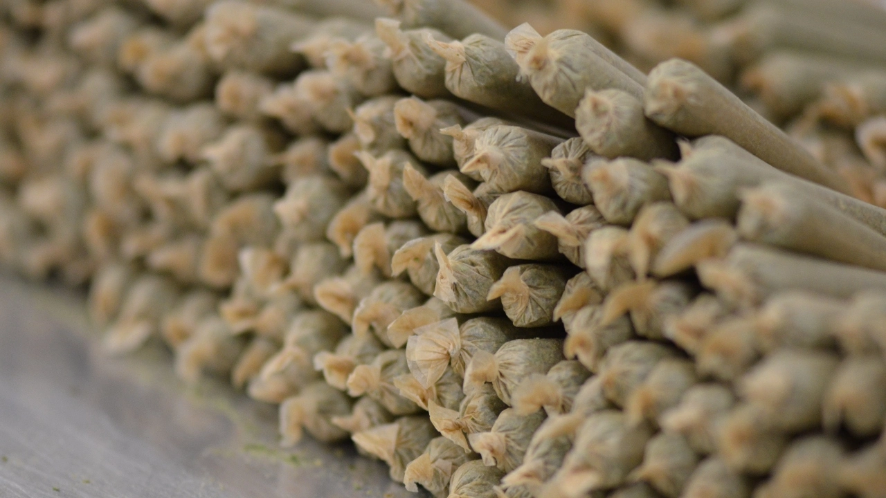 Fresh, Flavorful &amp; Strong – THC Infused Cannabis Pre-Rolls Europe