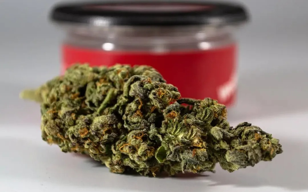 THC Edibles for Sale Australia – Understanding the Market and Consumer Habits